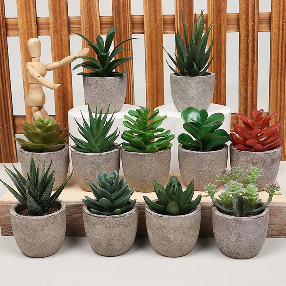 Mini Künstliche Pflanzen für Schreibtisch Sukkulenten im Topf