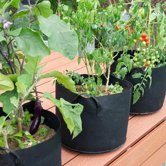 Pflanzbeutel für Gemüse Anzucht Garten Pflanzen Wachstum